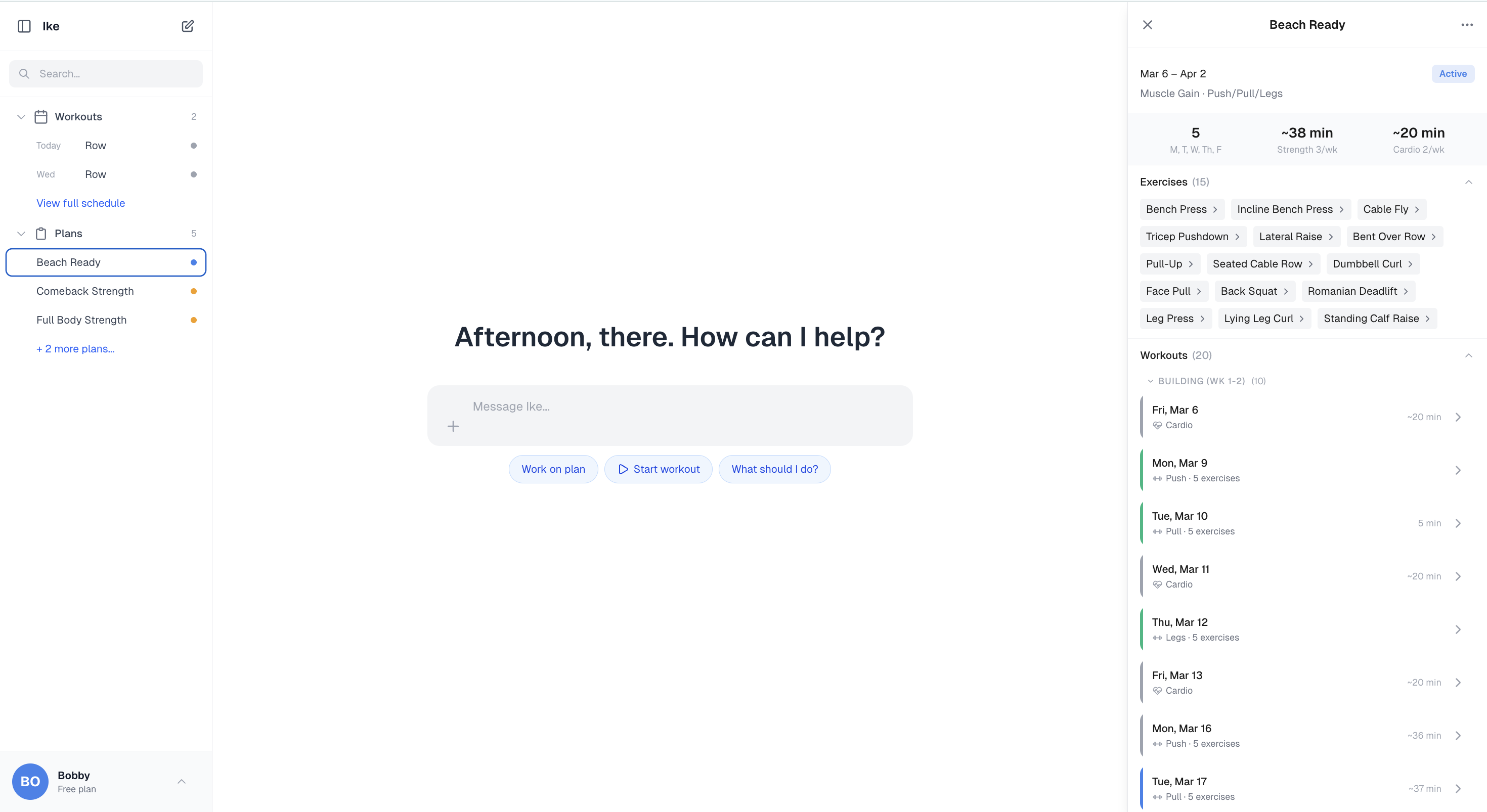 Ike on desktop — sidebar with plans, chat with Ike, and your live training block